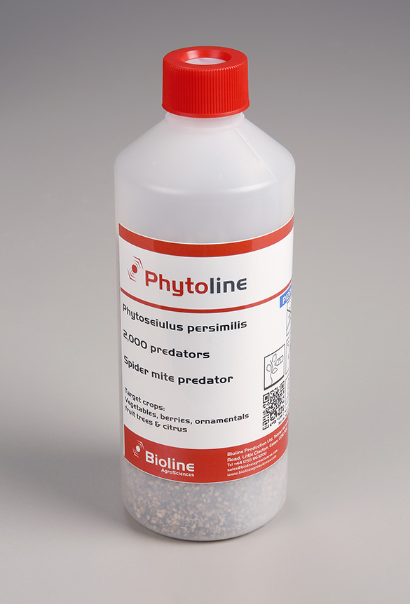 Phytoline - 2,000 per 500ml bottle - Biological Control